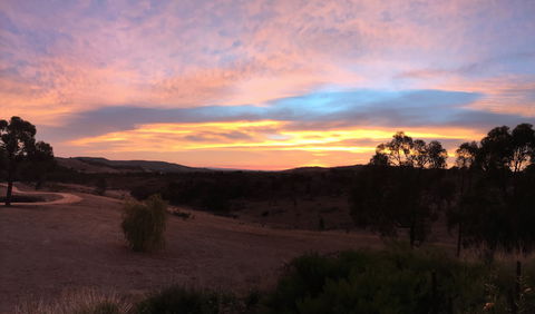 Peerick Vineyard And Winery - Brisbane Tourism 1