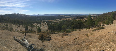 Peerick Vineyard And Winery - Brisbane Tourism 2