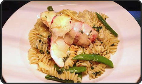 Spotty Cat - Brisbane Tourism 0