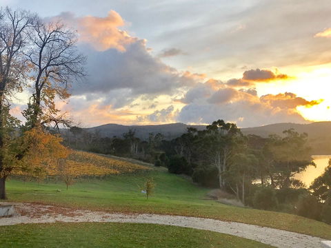 Waterton Hall Wines - Tourism Brisbane 1