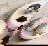 Gelatissimo - Watsons Bay - Tourism Brisbane