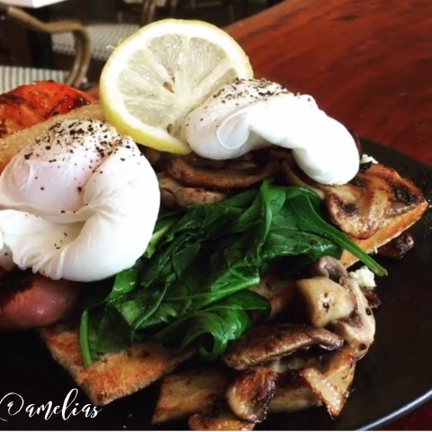 Amelia's Bakery - Tourism Brisbane 0