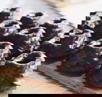 Botanica - Teneriffe - Tourism Brisbane