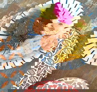 Grill Republic - Turkish Street Food - Tourism Brisbane