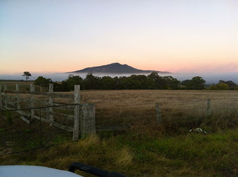 Mountainside Wines - Tourism Brisbane 0