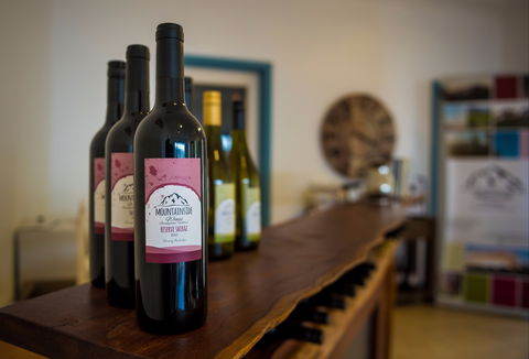 Mountainside Wines - Tourism Brisbane 2