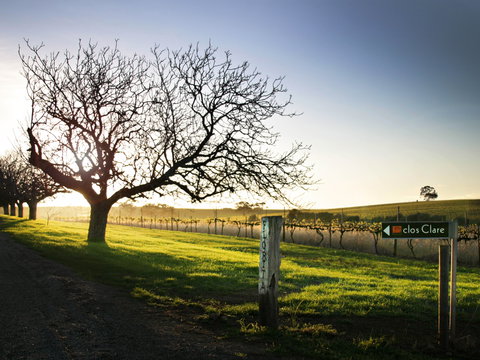 Clos Clare - Brisbane Tourism 2