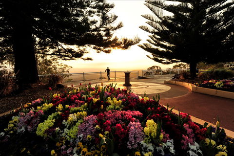 Picnic Point Cafe And Restaurant - Brisbane Tourism 0