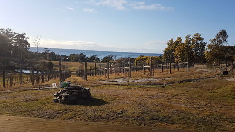 Overtime Vineyard - Tourism Brisbane 0