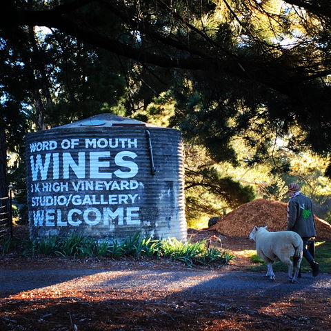 Word Of Mouth Wines - Tourism Brisbane 1