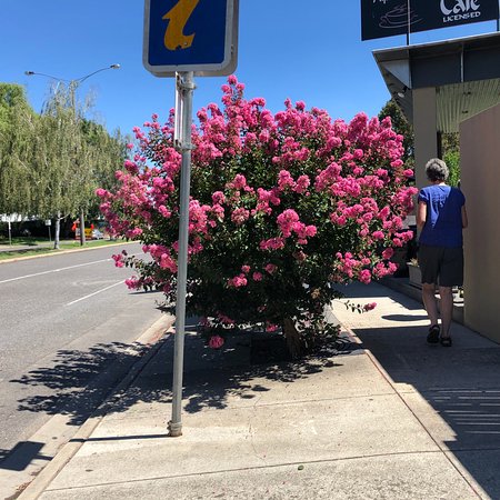 Alpine Gate Cafe - Tourism Brisbane 0