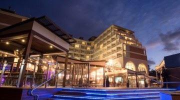 Anchovy - Tourism Brisbane 9