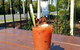 The Old Canberra Inn - thumb 11