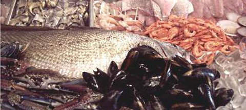 Lifeboat Seafood - Tourism Brisbane 1