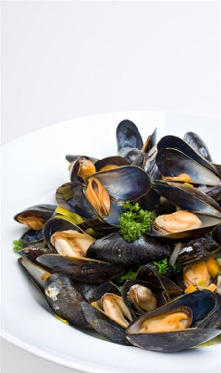 Lifeboat Seafood - Tourism Brisbane 4