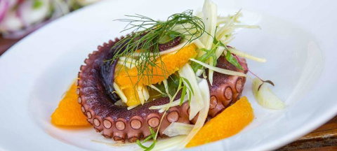 O Bar & Restaurant - Tourism Brisbane 3