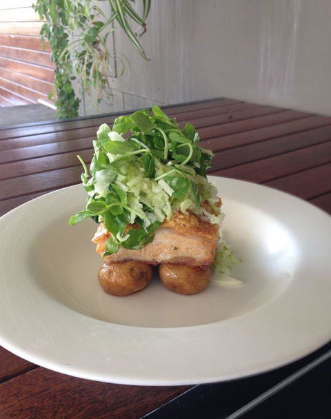 The Pickled Duck - Tourism Brisbane 16