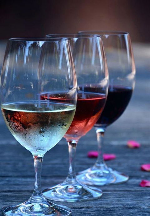 Vines Restaurant At Hollydene Estate - Tourism Brisbane 8