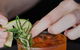 Pier Restaurant - thumb 4