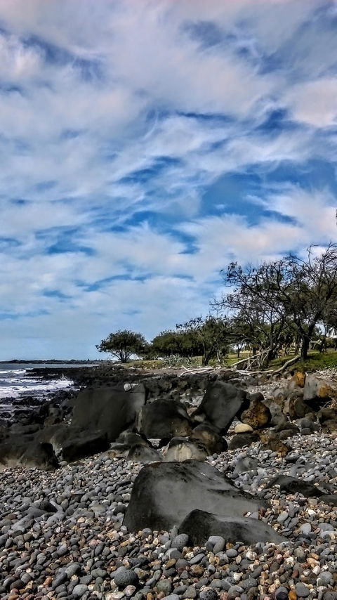 Sea Gypsy Cafe - Tourism Brisbane 1