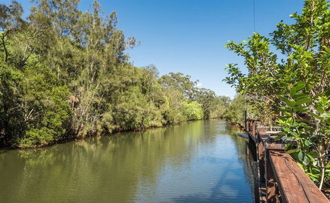 The Sunken Monkey - Tourism Brisbane 7