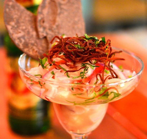 Tacocat - Brisbane Tourism 0