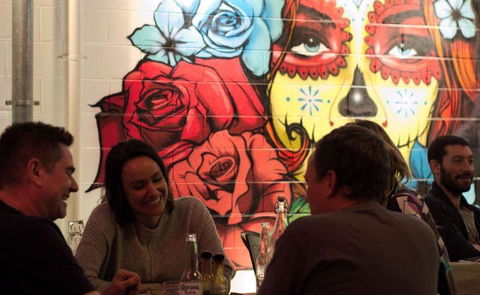 Tacocat - Brisbane Tourism 11