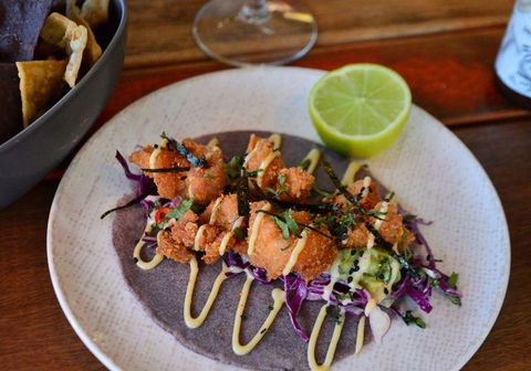 Tacocat - Brisbane Tourism 1