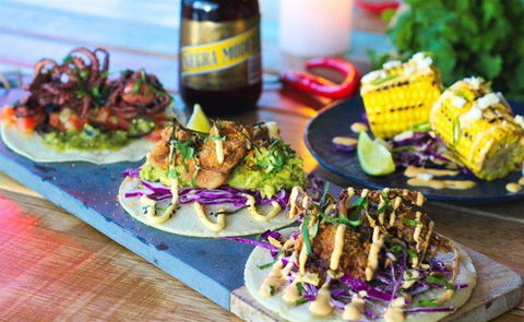 Tacocat - Brisbane Tourism 5