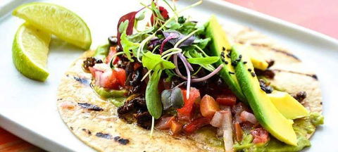 Tacocat - Brisbane Tourism 6