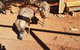 Erldunda Roadhouse - thumb 2