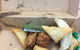 Harri Dumpling - thumb 1