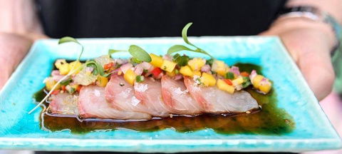 Sash Japanese Pizza - Brisbane Tourism 0