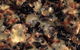 Fat Quoll Woodfire - thumb 8