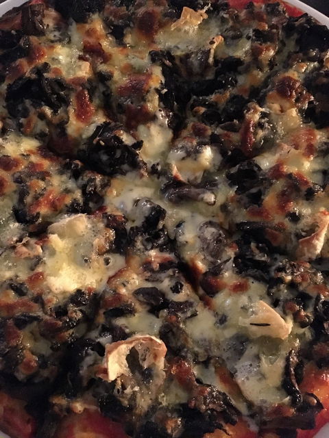 Fat Quoll Woodfire - Brisbane Tourism 8