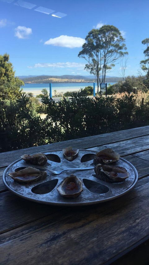 Get Shucked Oyster - Tourism Brisbane 4