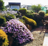 Pipers River Tea House and Crafts - Brisbane Tourism