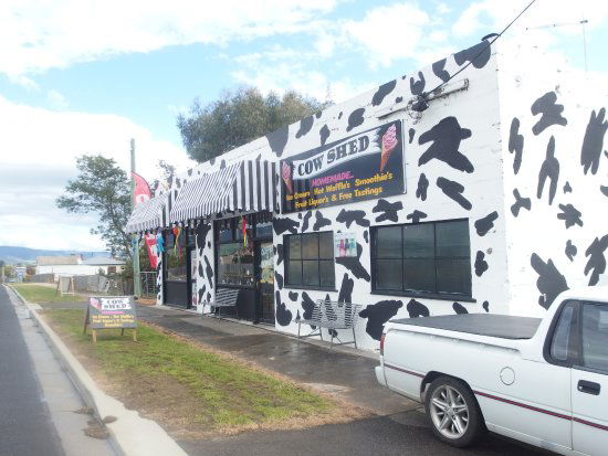 Avoca TAS Tourism Brisbane