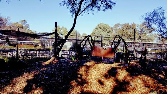 Hazelmere WA Brisbane Tourism