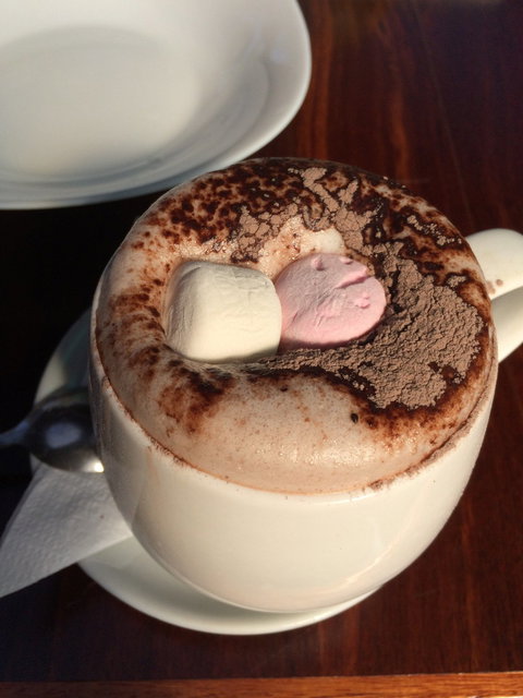 Cafe Cinco Gallos - Tourism Brisbane 1