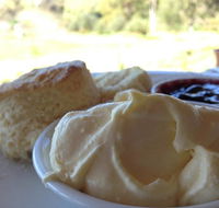 Tanglefoot Winery Cafe
