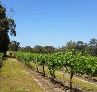 Stringybark Cottage Winery  Restaurant - Brisbane Tourism