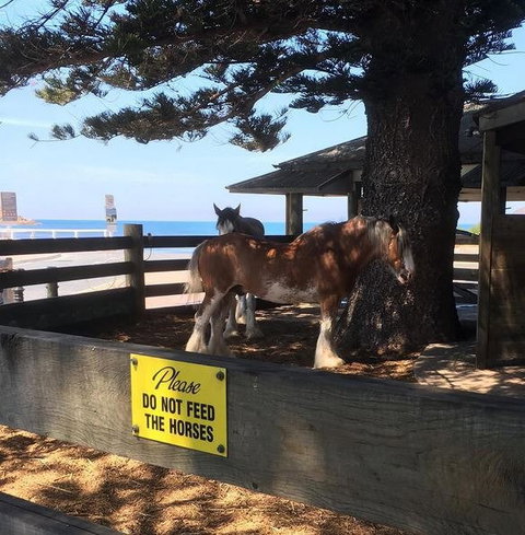 The Causeway Cafe - Brisbane Tourism 1