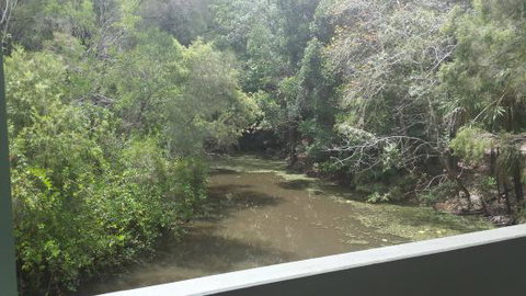 Savour The Flavour - The Gardens Cafe - Brisbane Tourism 0