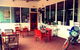 Taipan - thumb 6