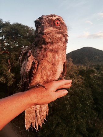 Cafe Anywhere - Brisbane Tourism 0