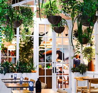 Ivy  Lark - Tourism Brisbane
