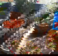 Island fruit Barn - Tourism Brisbane