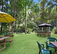 Rainforest - Tourism Brisbane