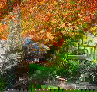 The Woods Ravensbourne - Brisbane Tourism